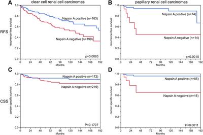 Napsin A Expression in Human Tumors and Normal Tissues